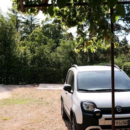 Manjsa Hisa Savudrija Alberi Zraven Petram Naselja Otel Crveni Vrh Dış mekan fotoğraf